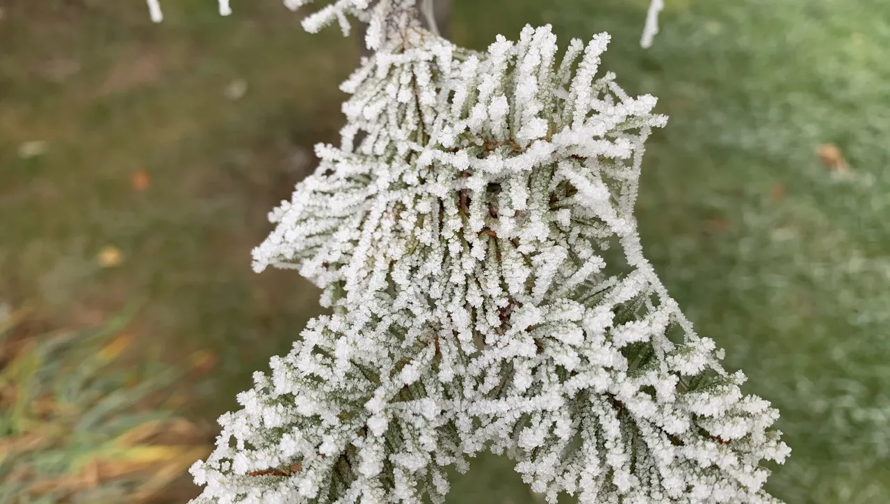 Към полунощ температурите ще са от минус 11° в югозападните