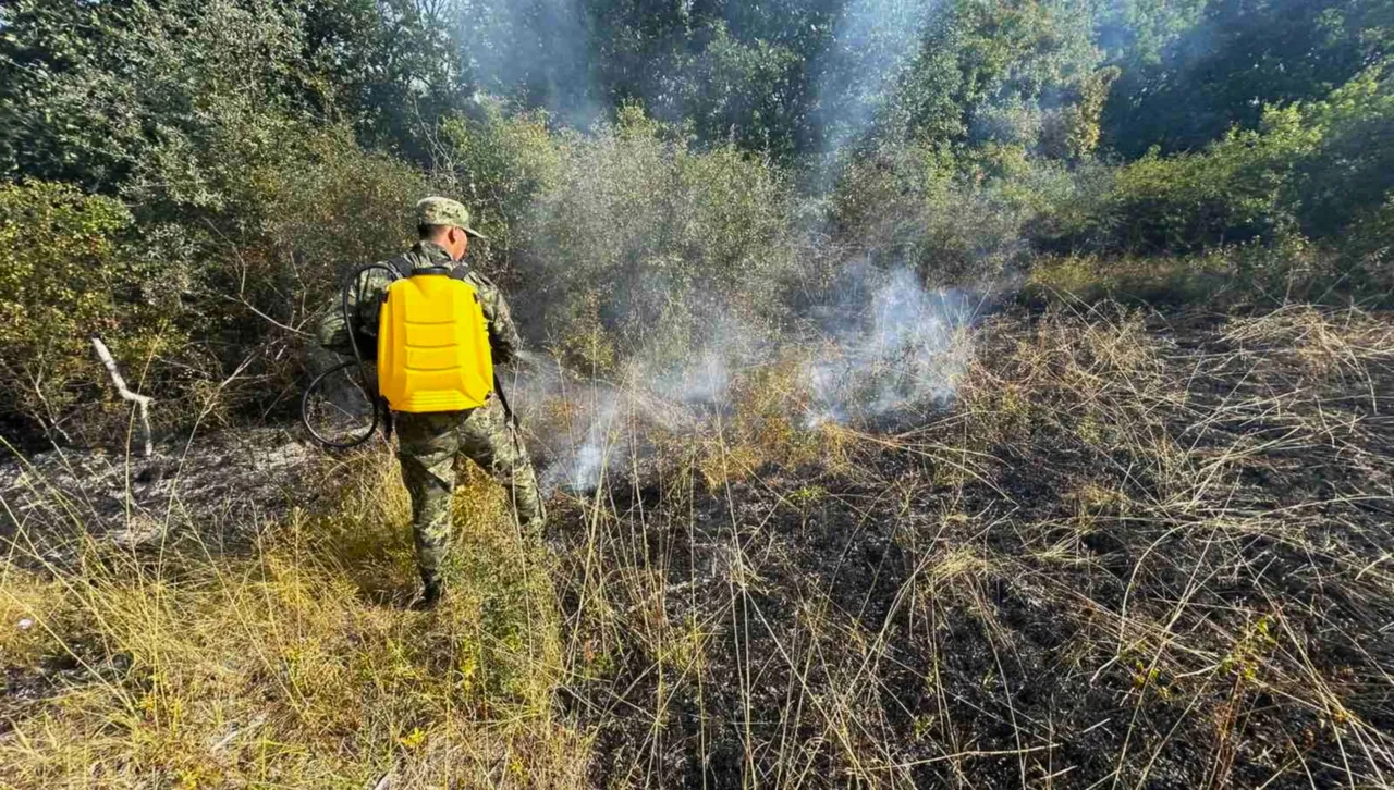66 военнослужещи продължават битката с големите горски пожари 