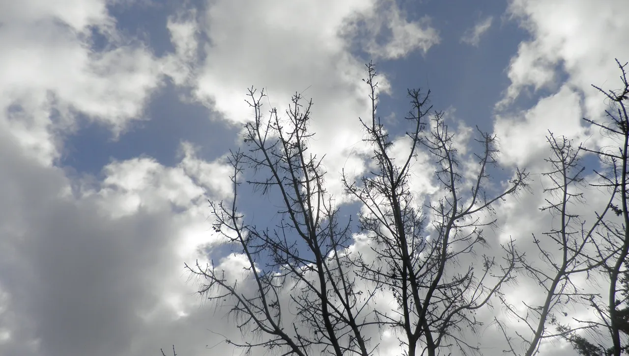 Максималните температури ще бъдат между 7° и 12° Слънцето в