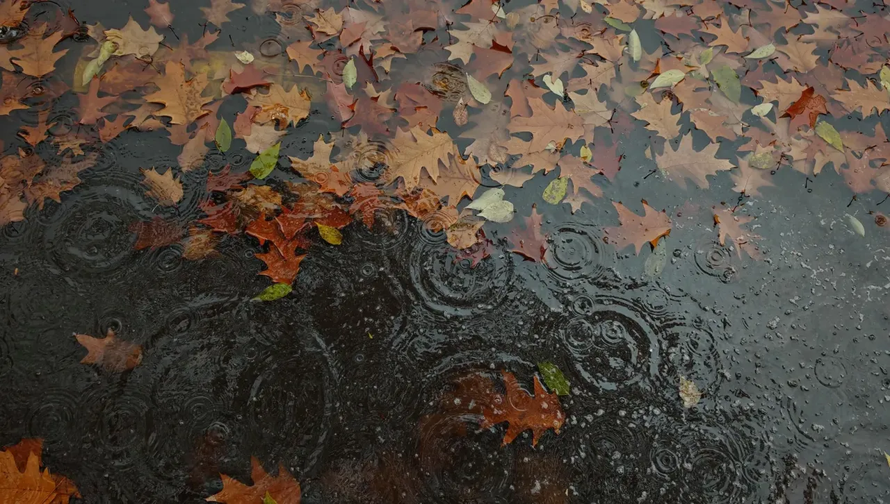 Днес времето ще остане облачно и с валежи