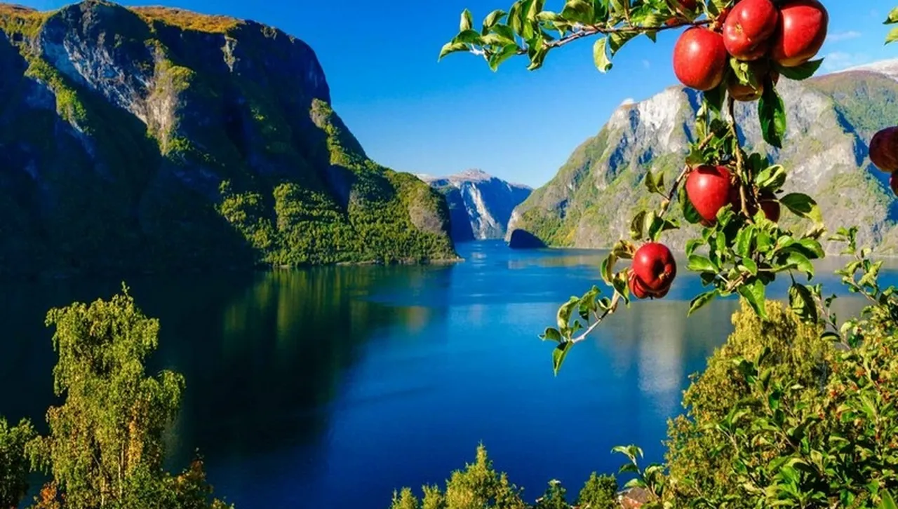 Обездвижен и ранен дни наред: Американски турист пиел урината си и оцелял  