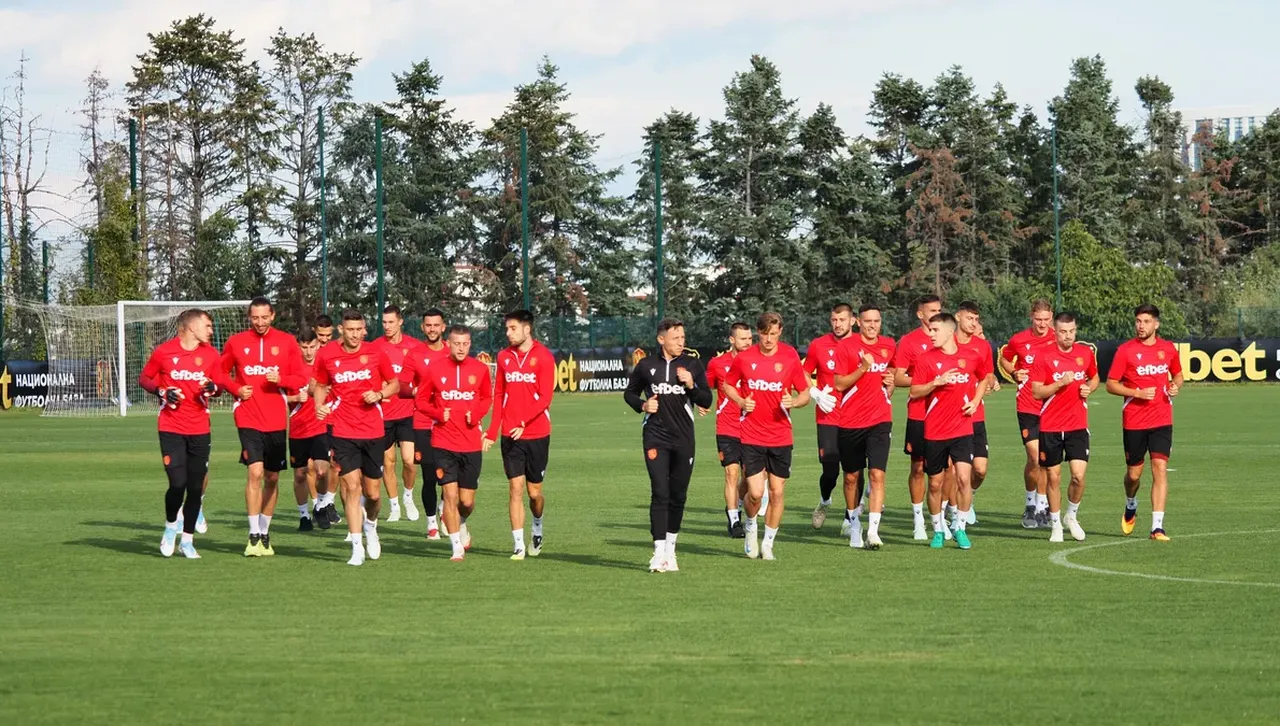 Дават под 1% шансове  националният отбор на България да спечели групата си в квалификациите за Световното по футбол