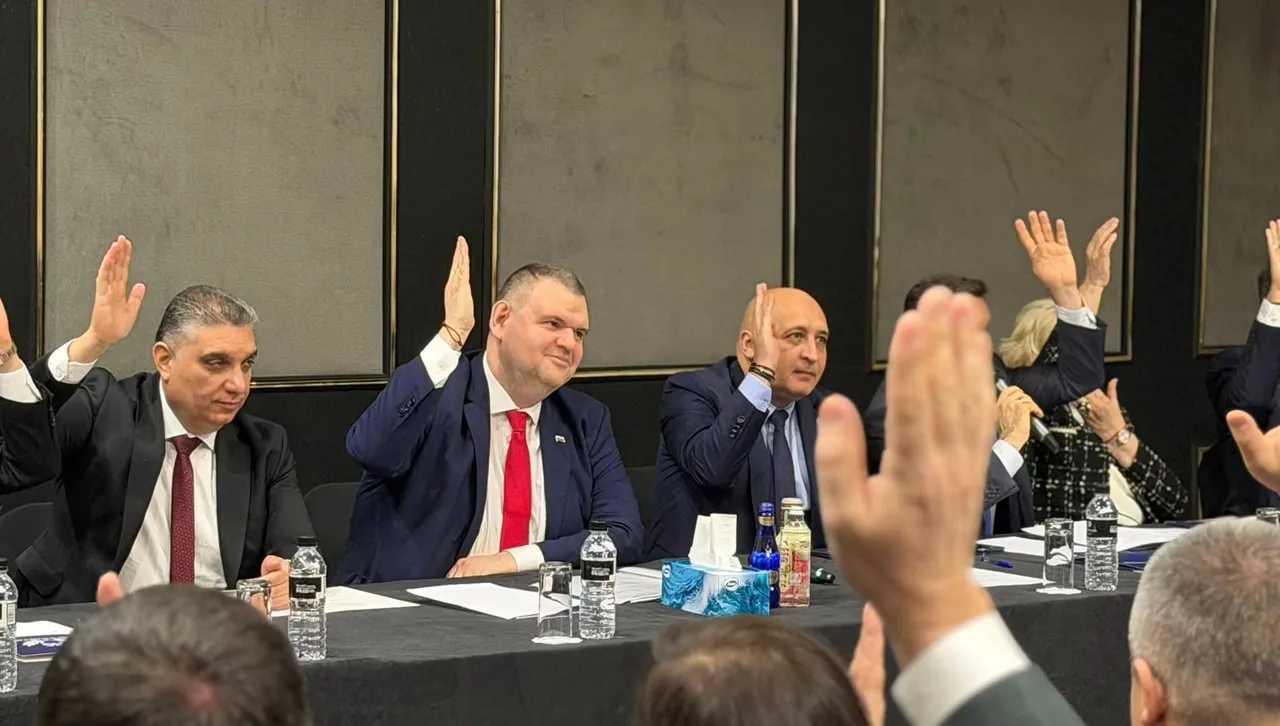 ДПС ще се яви самостоятелно на парламентарните избори