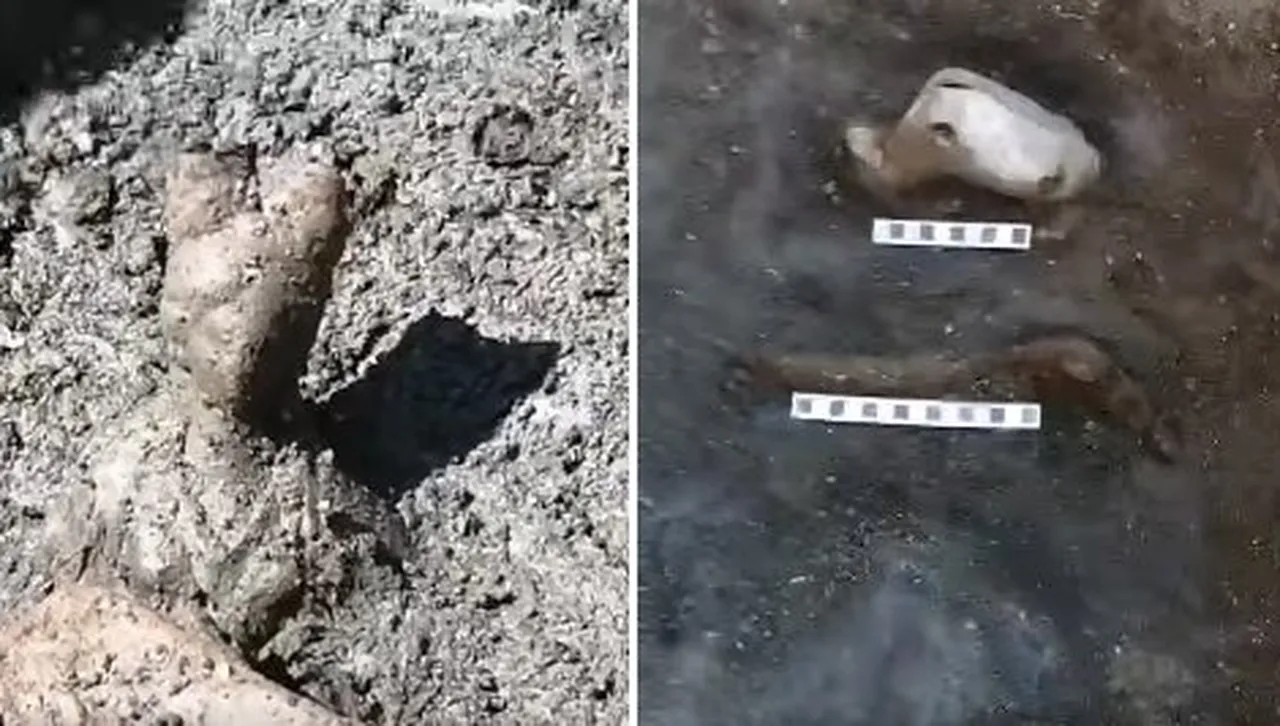 Още интересни находки "възкръснаха" в древна Хераклея Синтика