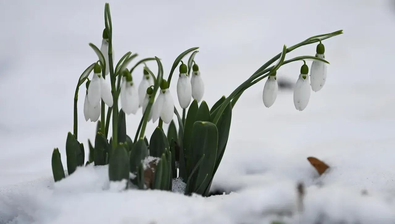Облачността над Северна България ще бъде значителна и в източната