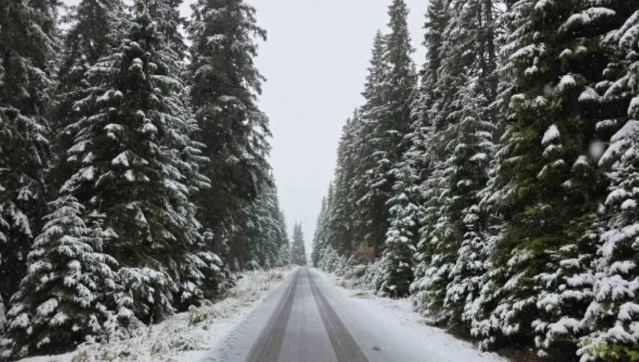 МРРБ налага жестоки санкции на пътните фирми и държавната „Автомагистрали“