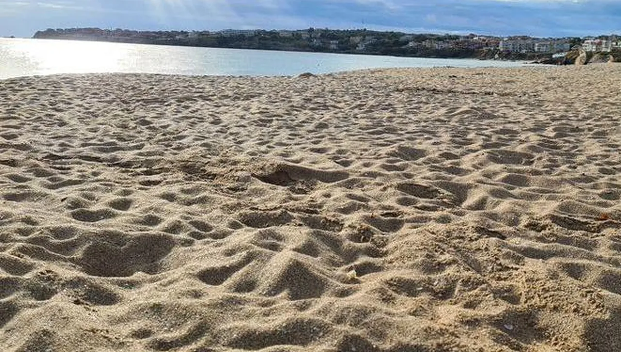 Жандармеристи ще опазват реда и сигурността по Черноморието ни