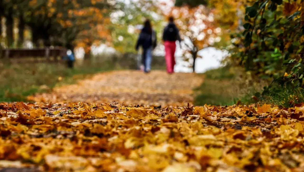 Дългосрочна прогноза за времето в Европа, Балканите и България през есента и зимата