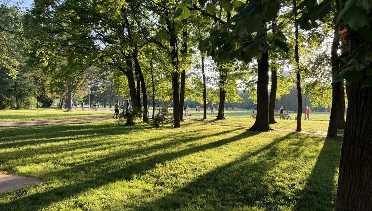 Слънчево, валежи в Горнотракийската низина и на североизток  