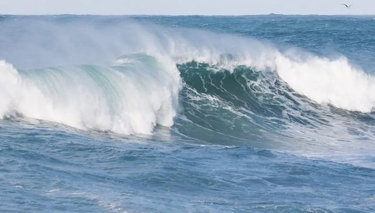 Откриха телата на тийнейджър и мъж, изчезнали в бурното море край "Слънчев бряг"