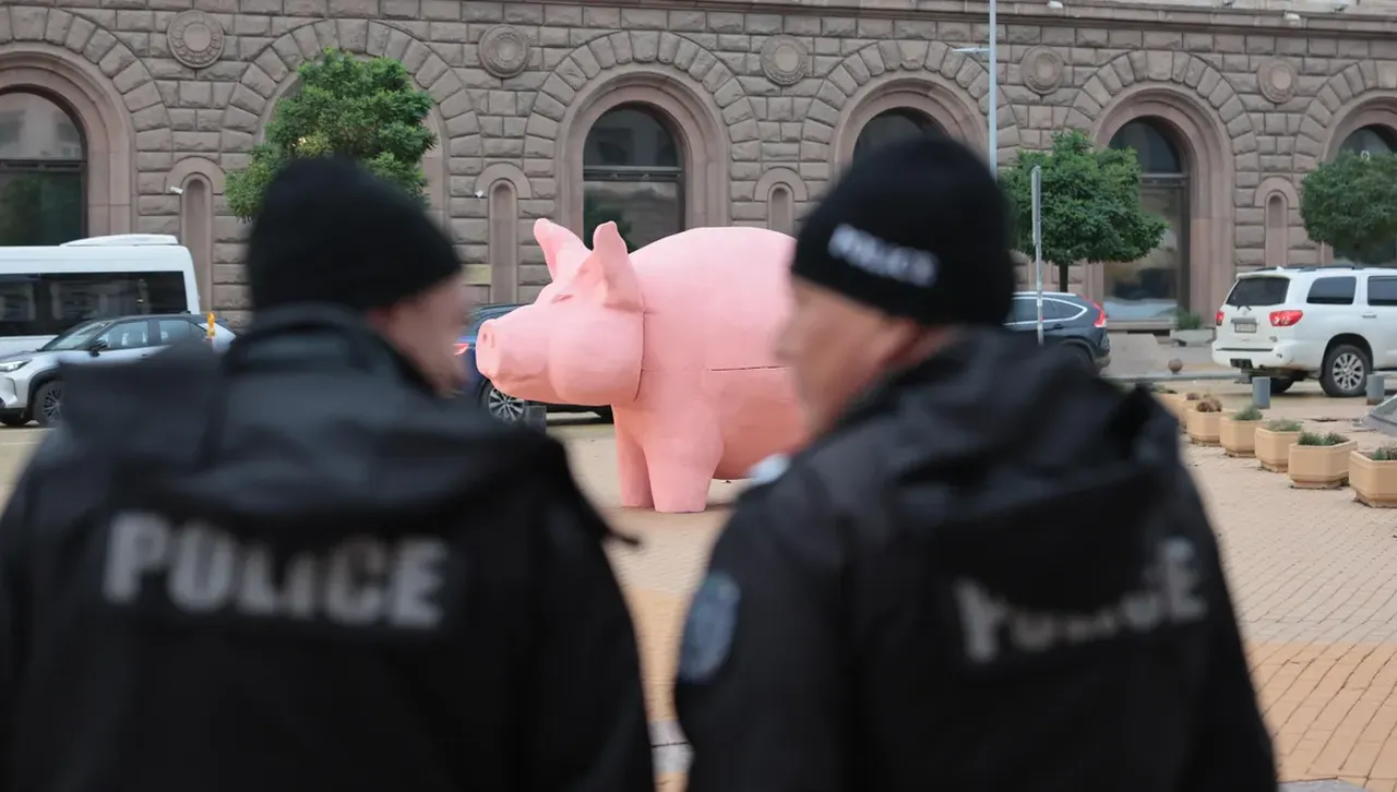 Инсталираха прасе-касичка пред парламента: От ПП така видяха бюджета