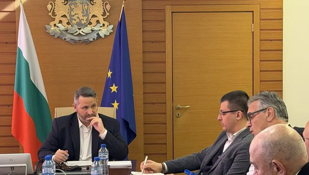 Голяма част от слънчогледа се изнася предимно за Турция което