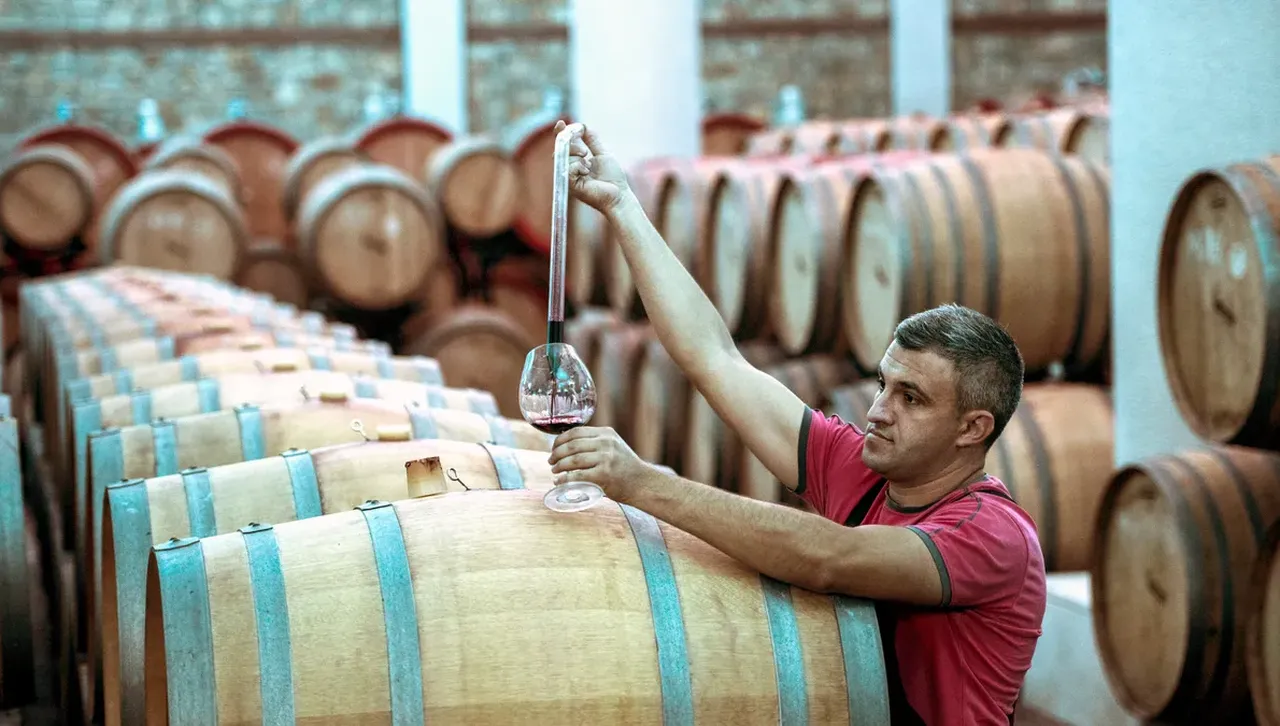 Световното винопроизводство расте след спад през 2024 г. заради климатичните промени