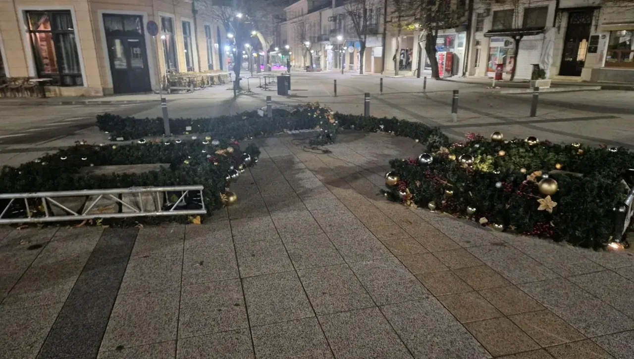 Камери за наблюдение са засякли едно от падналите дървета счупило