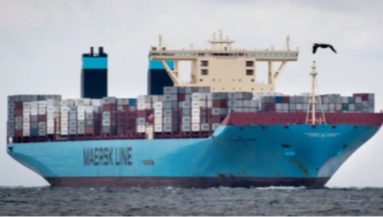 Коя е причината за фаталното срутване на моста в Мериленд? 