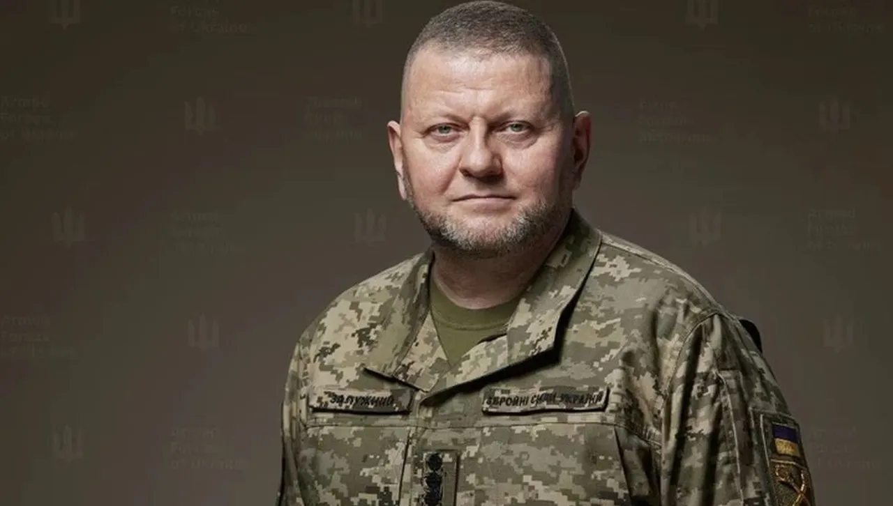 Спешно предупреждение за Европа от генерал Залужни: Как можем да избегнем войната?