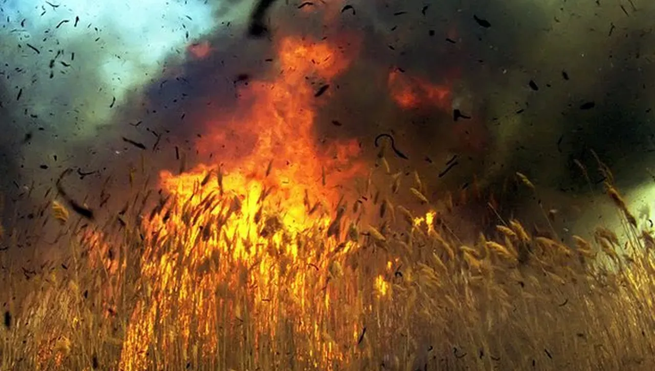 Пожарът при бившата рафинерия „Плама”-Плевен е локализиран, гасенето продължава 