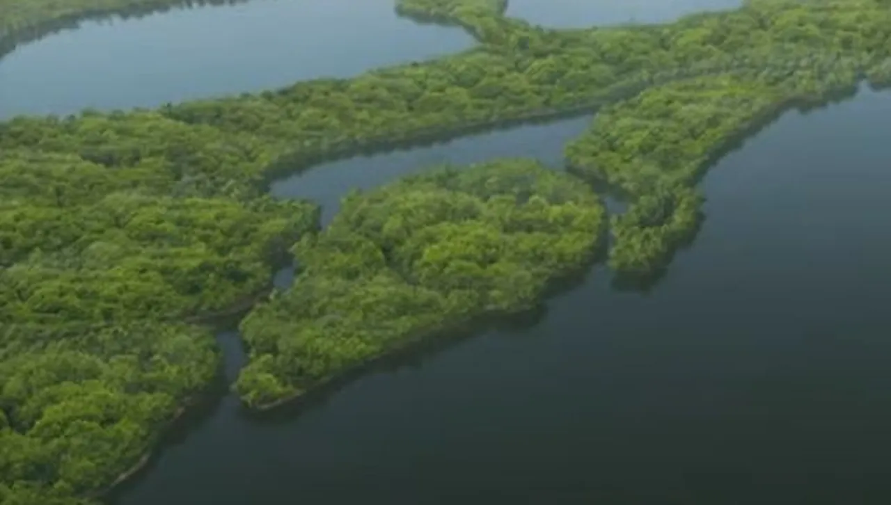 Telegraph: В "зоната на смъртта" - стотици войници на Путин са обречени на глад в делтата на Днипро