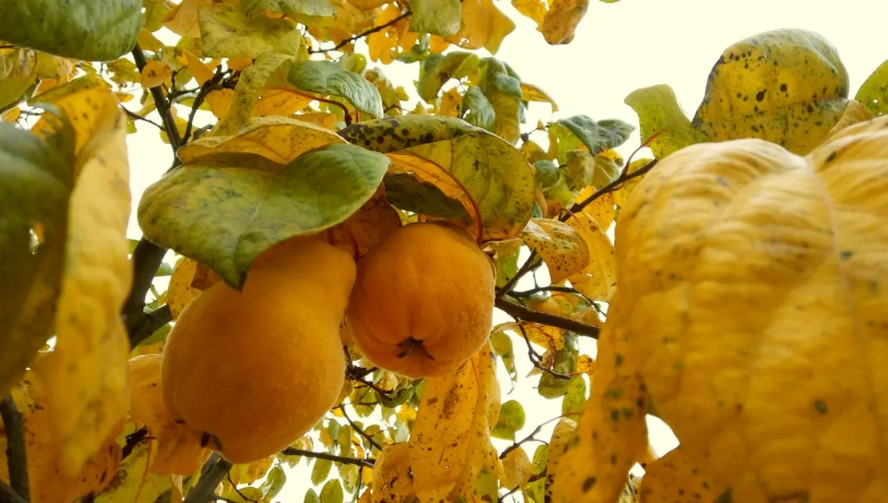 Времето на 30 октомври: Обрат! "Южняк" носи слънце и 22°. Къде ще има мъгли?