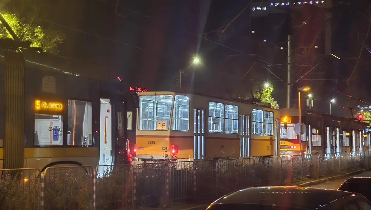 Поредна катастрофа с трамваи в София