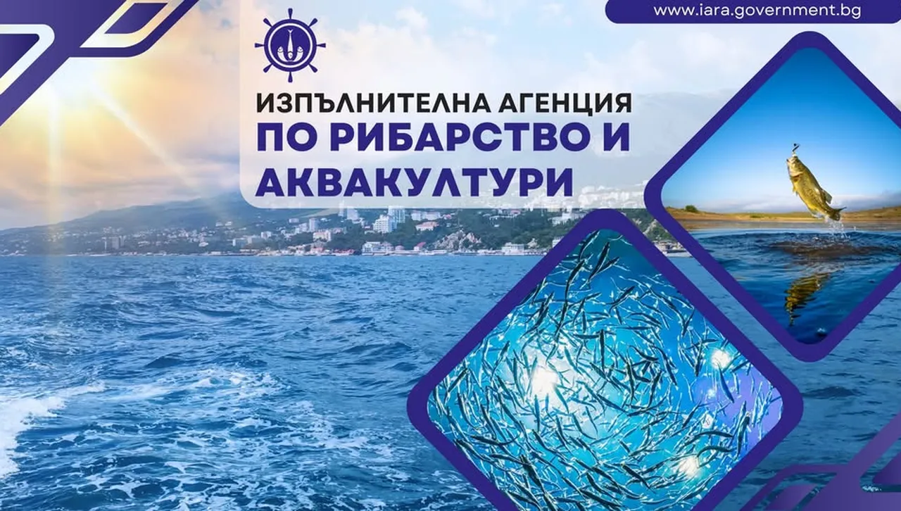 Божан Божанов: Увеличен ли е двойно билетът за риболов?