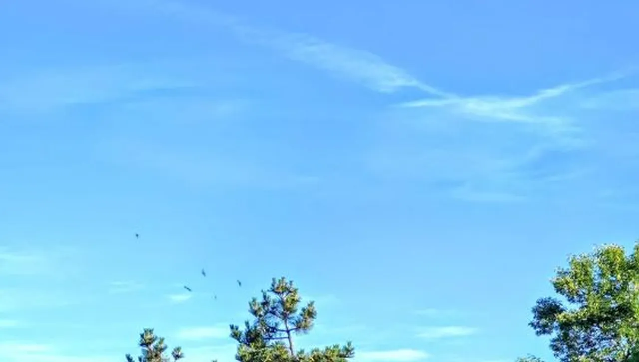 Румънски частен самолет кацна аварийно в полето край Гиген - имал проблем с двигателя