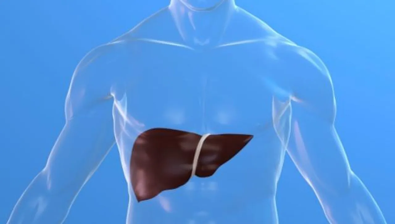 Само едно преяждане може да е фатално за черния ви дроб