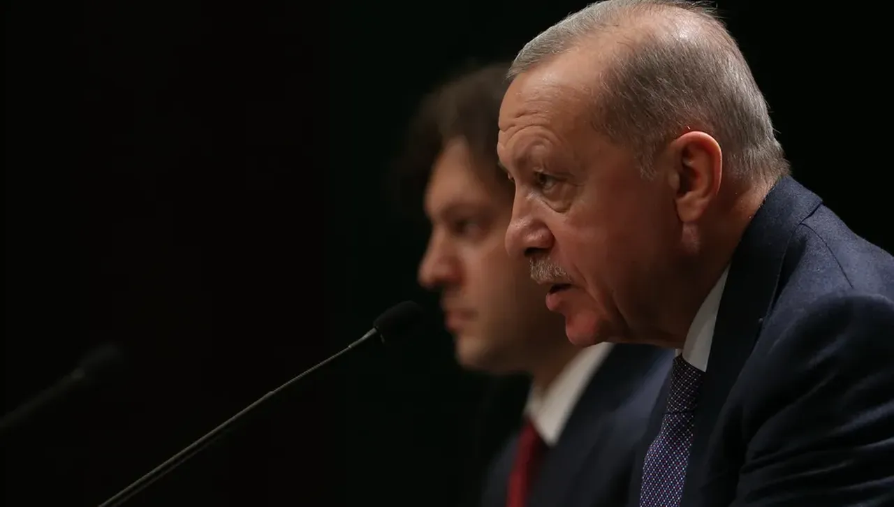 Ердоган призова Русия и Украйна да прекратят нанасянето на удари по търговски кораби 