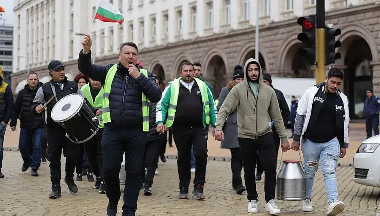 6 фермерски и земеделски организации протестират пред сградата на ЕК в София
