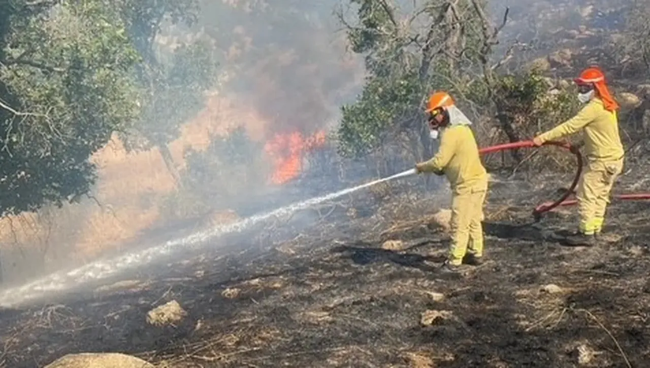Продължават да гасят пожара край село Лесово, погълнал 16 000 декара