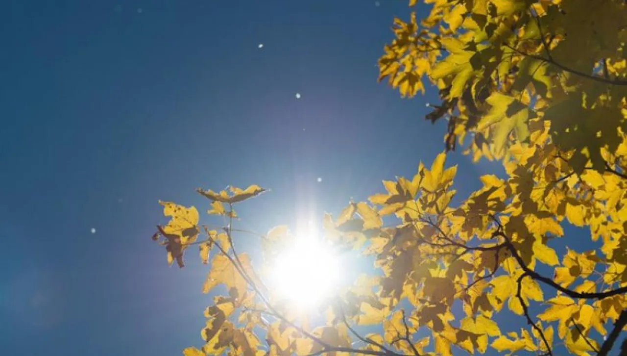 Слънчево и ясно с летни температури и лека облачност на изток