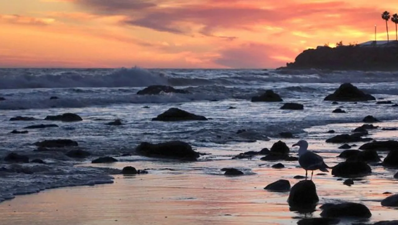 Разкриха странната тайна на Тихия океан, тя смая учените