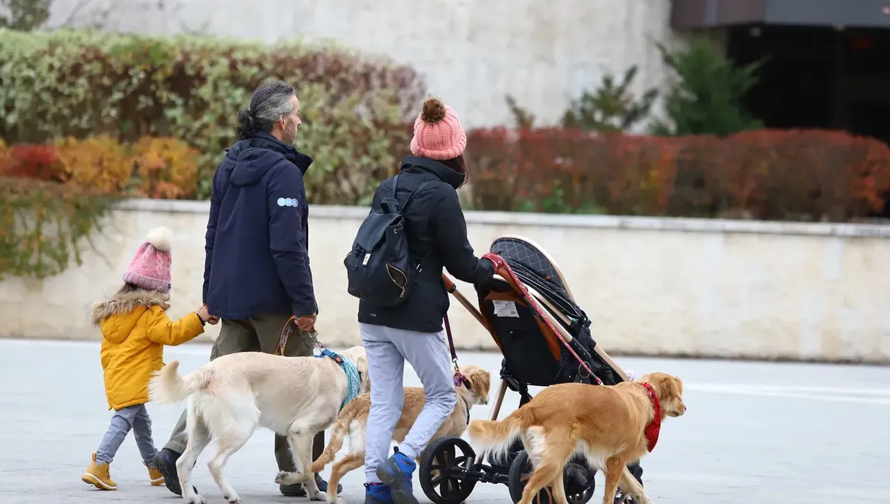 Майка на 3 деца за новите зони: 5-6 евро е на ден да ги закараме на градина и в училище