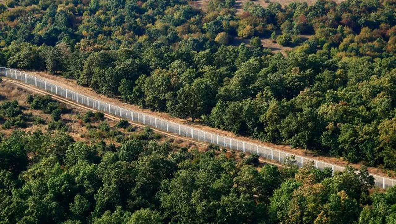 Източна Европа планира минен пояс срещу руско нашествие 