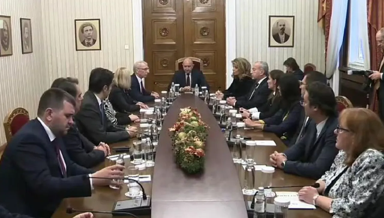 ДБ и ПП  с различни позиции на срещата при президента