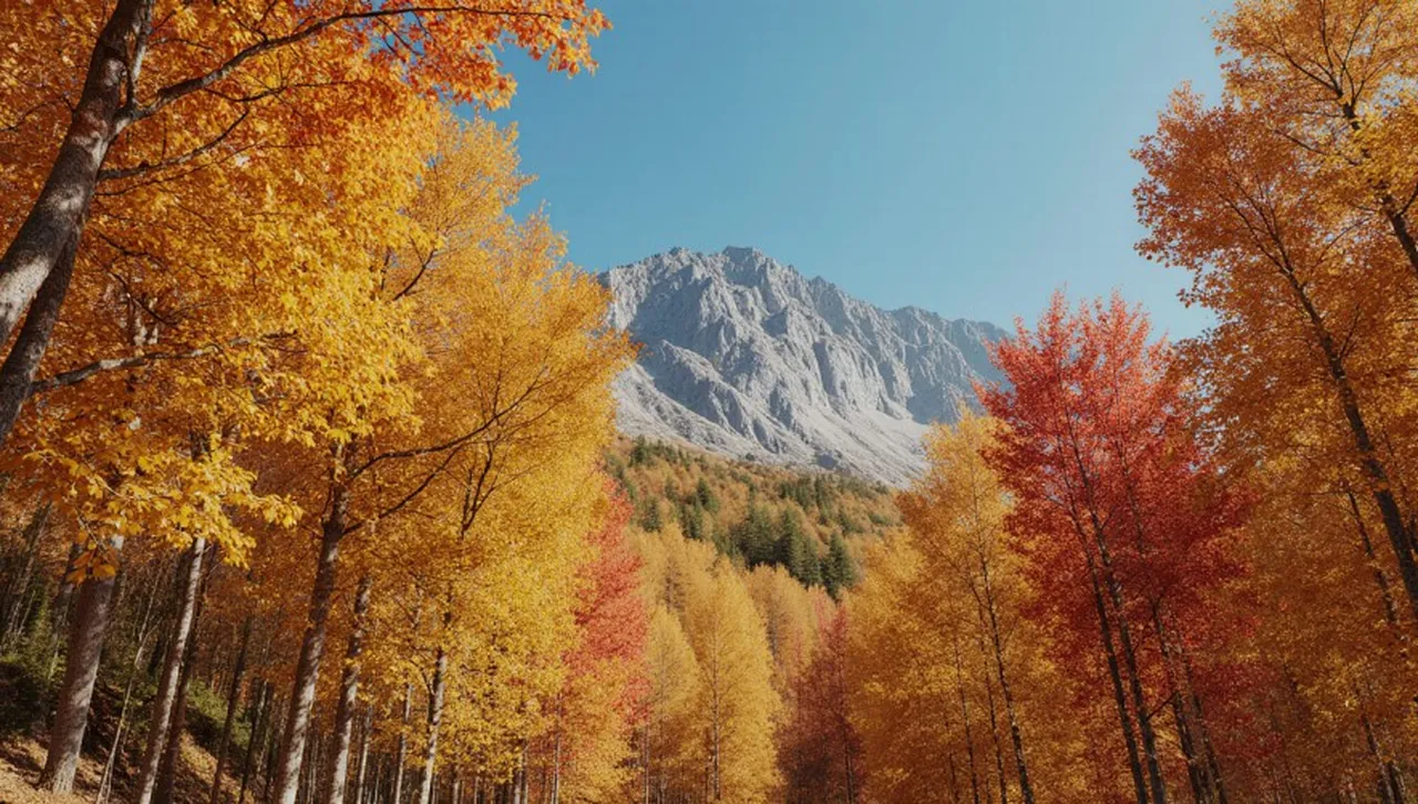 Последен топъл есенен ден: Насладете се на 22° в събота, защото идва рязък обрат с проливни дъждове