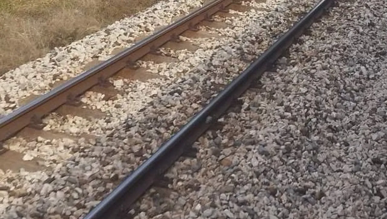 Пробите за алкохол на машинистите са с отрицателни резултати Два