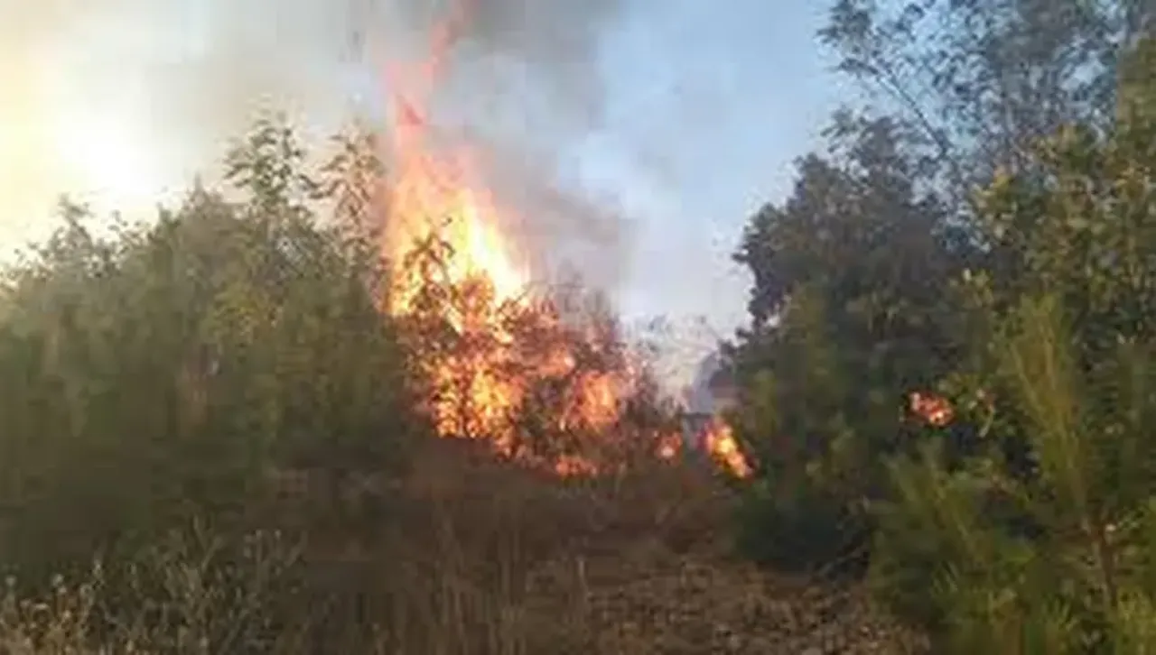 Пожар в Турция затвори магистрала "Европа", водеща към България