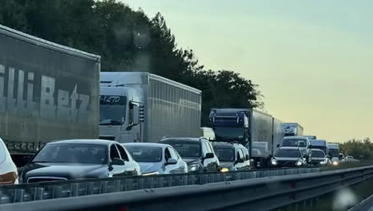 Време е да поставим зимни гуми на колите - колко ще струват?