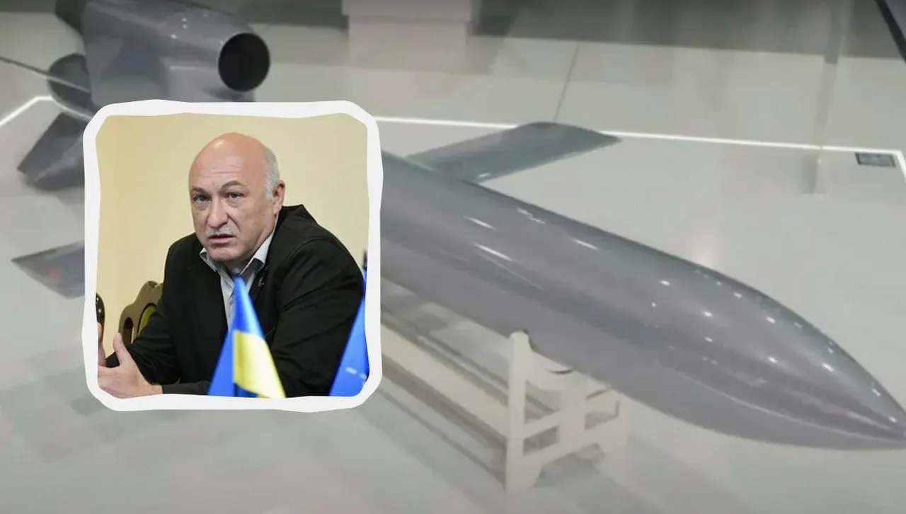 Експерт посочи плюсовете и минусите на украинската ракета „Фламинго“ 