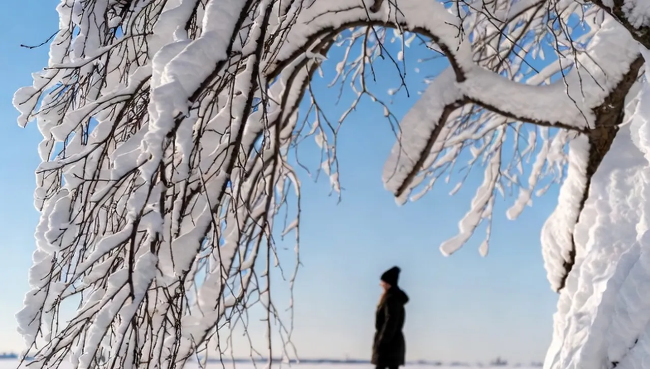 Минималните температури ще бъдат между минус 5° и 0° в
