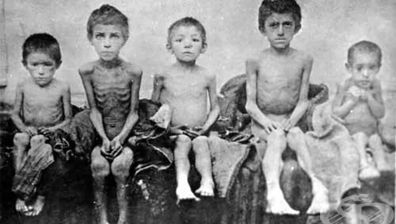 Зловещата рецепта на Сталин за геноцид чрез глад - 93 години от Гладомора