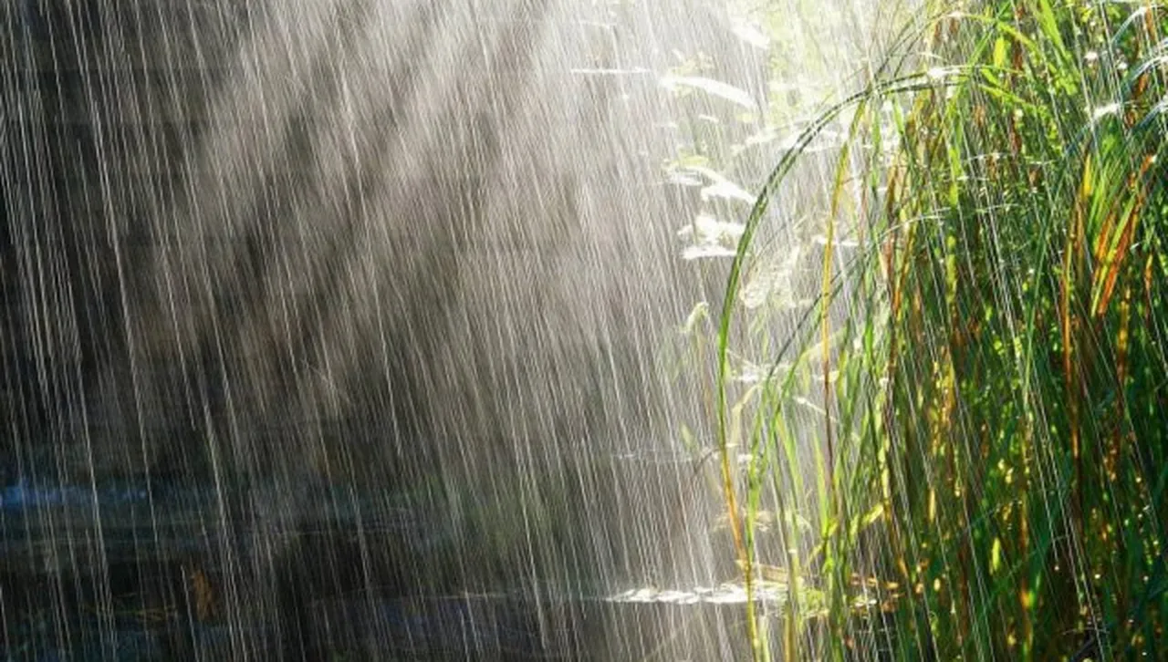 Значителна облачност с кратки превалявания и лек ветрец