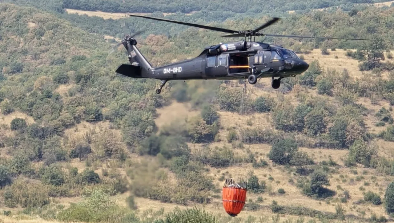 Евакуираха с. Плоски: Ураганен вятър отвя пламъците до селото