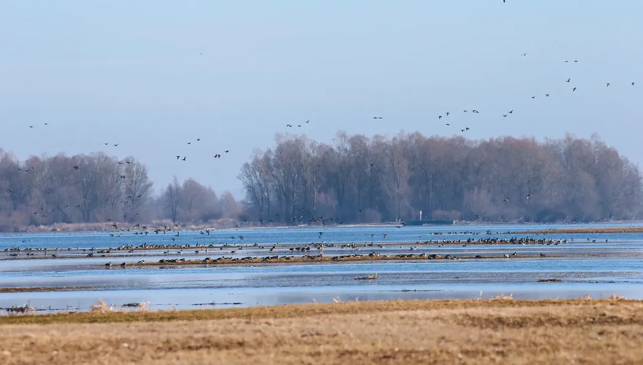 Слънчево на запад, към обед облачността на изток се разкъсва до ясно време