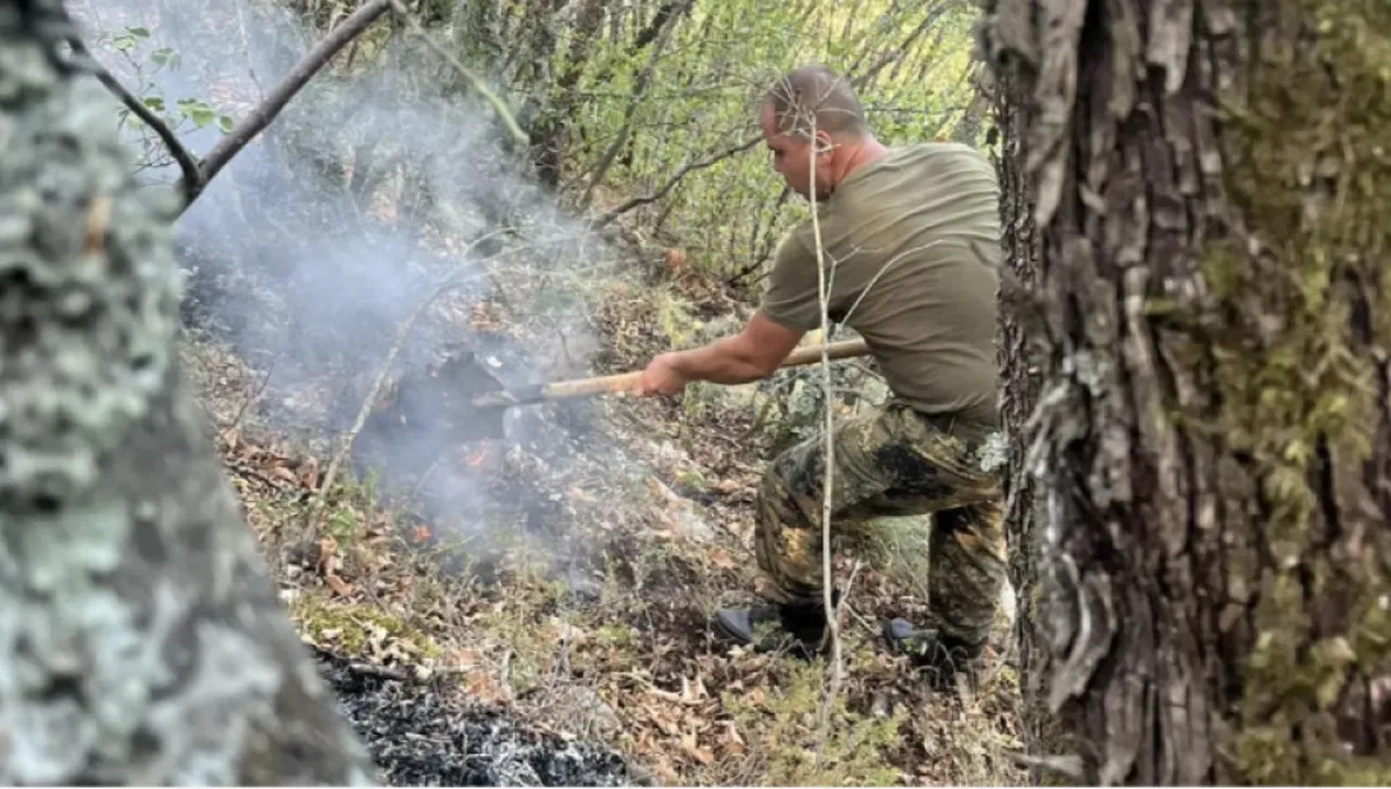 Гасят огнища и тлеещи дървета от пожар в Рила