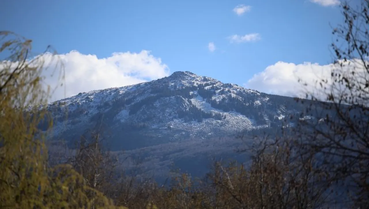 "Витоша на децата" - нова инициатива за спорт и опознаване на планината за най-малките