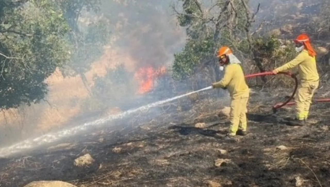 Турция изпрати у нас огнеборци и пожарни коли - помагат за битката с пожара при Лесово