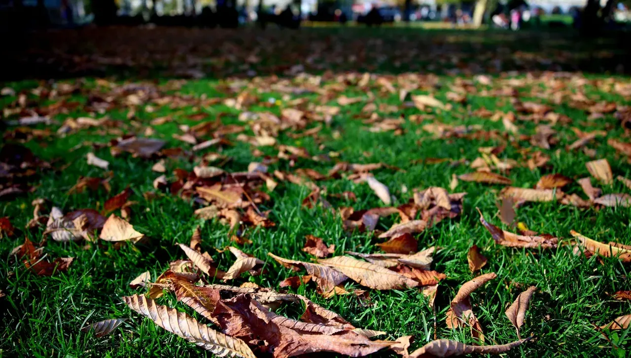 По-малко слънце днес, няма да вали