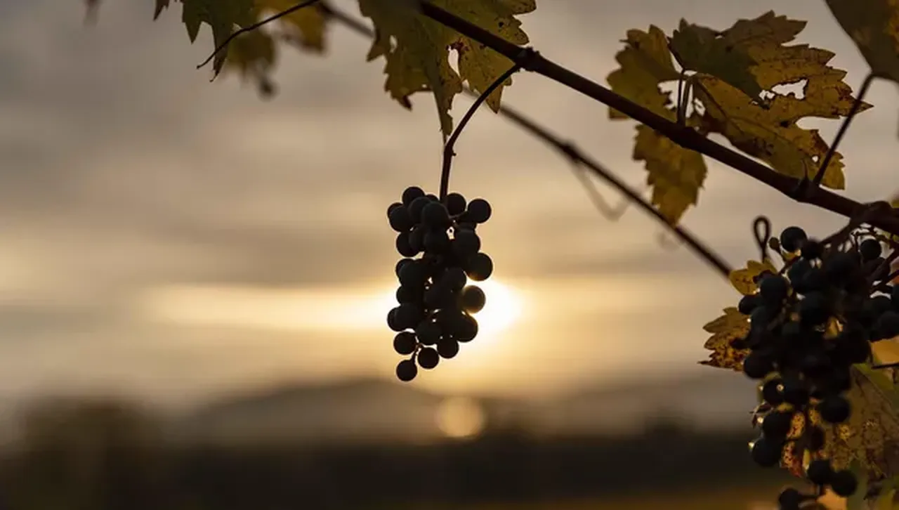 Отново облаци обхващат почти цяла България със слаби дъждове на изток